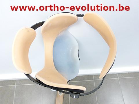 canadienne evolution