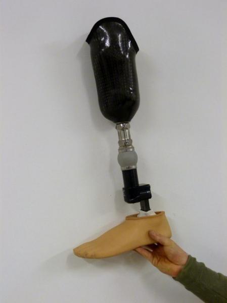 prothèse tibiale fût carbone