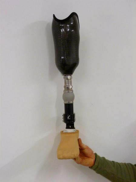 prothèse tibiale fût carbone